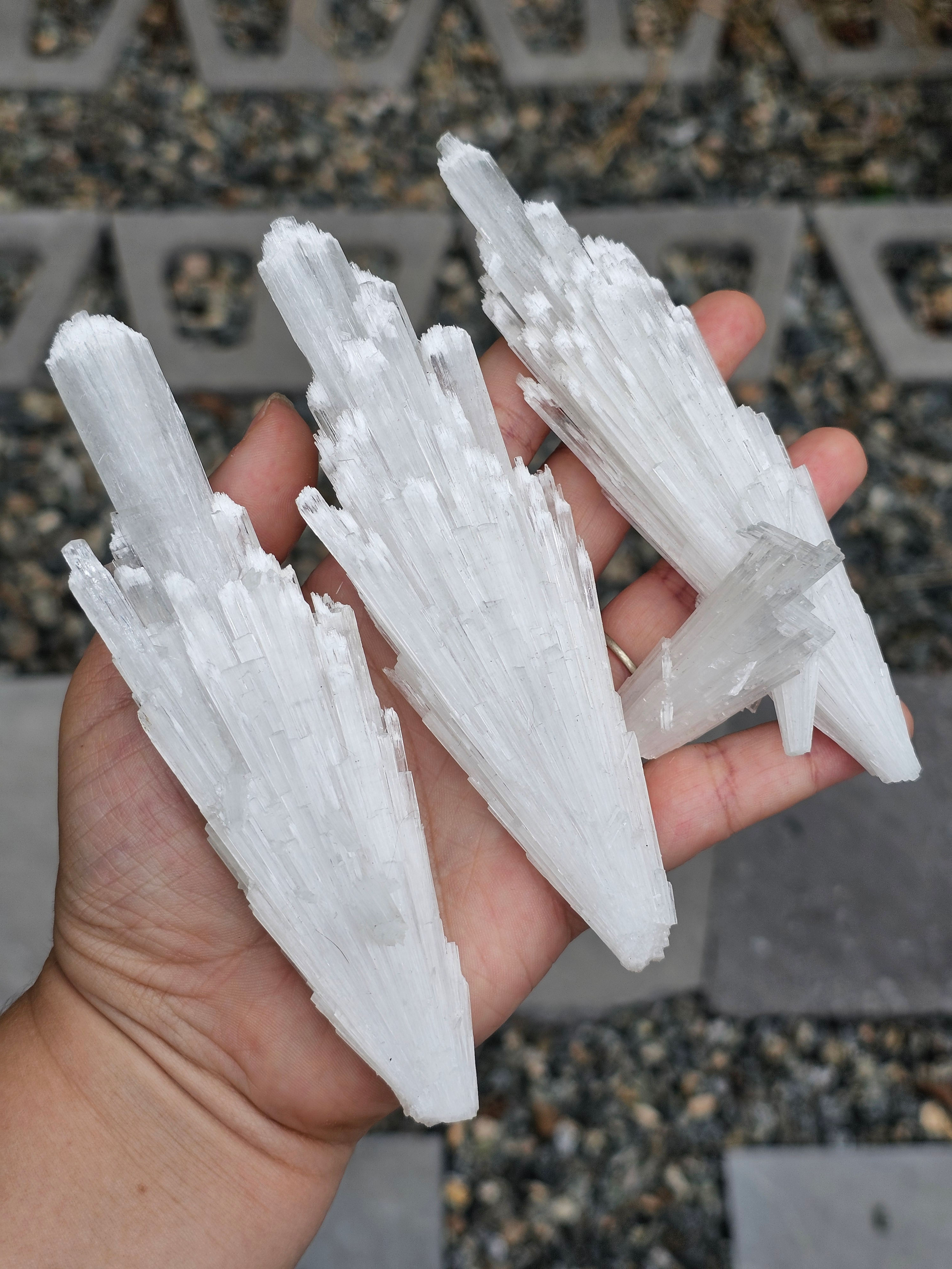 Large Scolocite Spray