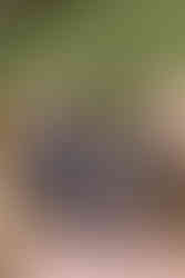 Mark and Graham pose for a photo with their dog