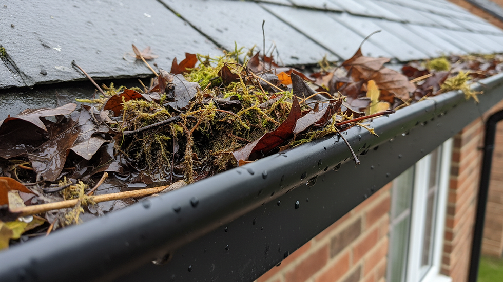 Close-up view of roof gutter filled with leaves and debris