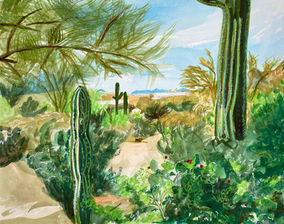 Desert, Scottsdale, Arizona