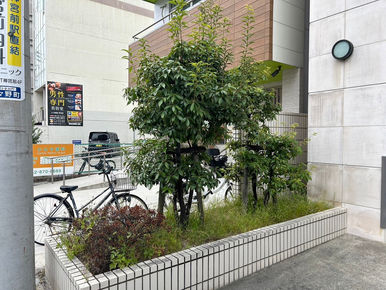 マンション 植栽管理
