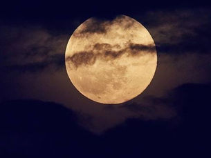 Full Moon: Full Potential