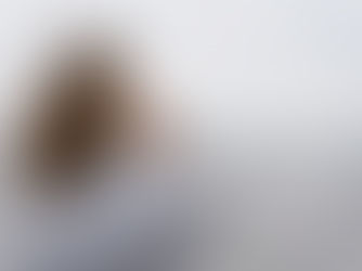 What happens when our country's leaders are out of touch with their people?