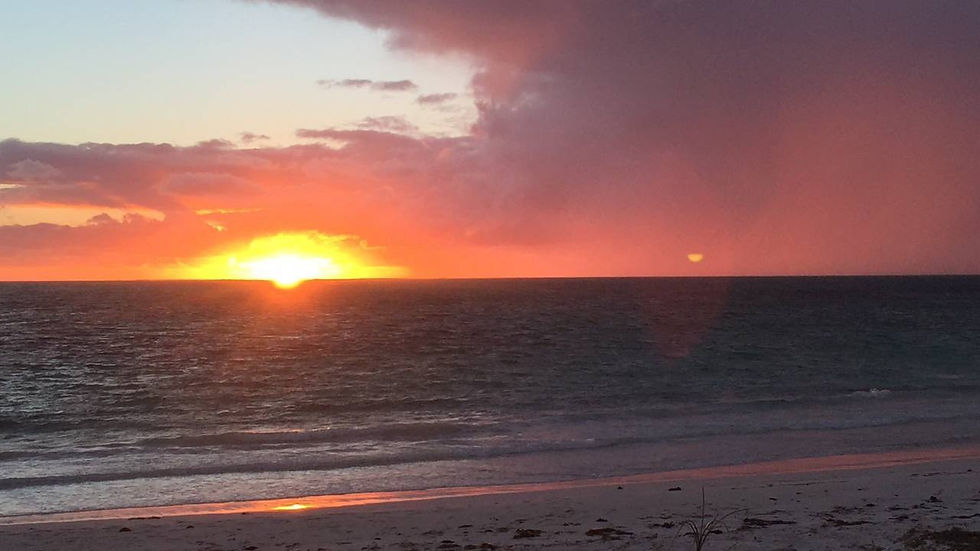 What would you say to your younger self?: the 7th Seed of Hope & Kindness