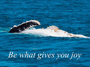 Be What Gives You Joy: the 8th Seed of Hope & Kindness