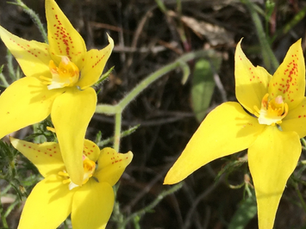 Growing Older ... and Less