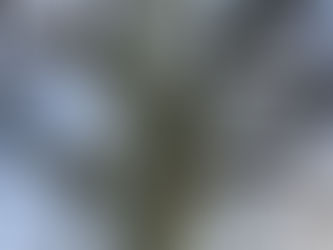 'Being' with what we have, with thanks to Tennyson's poem "Ulysses"