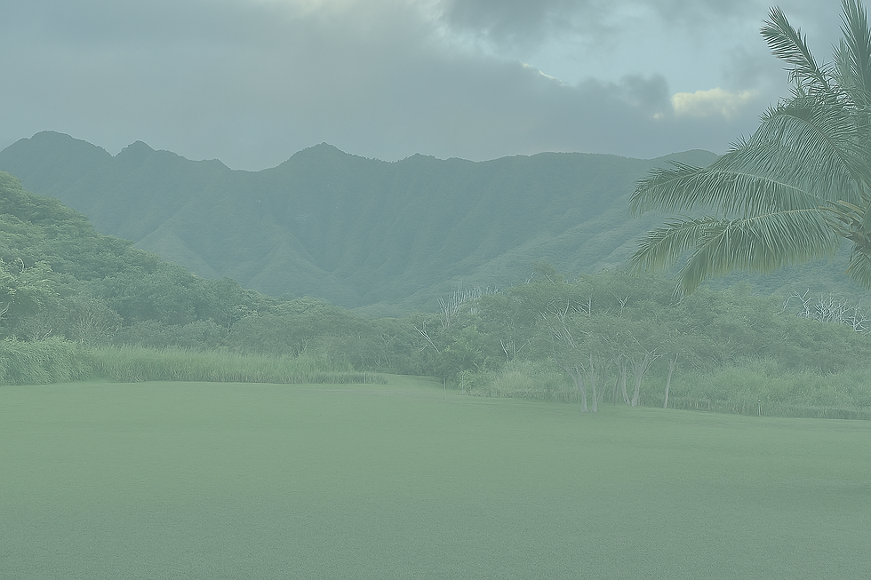 bg.png