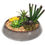 Thumbnail: Potted Artificial Succulents With Round Decorative Bowl 19cm