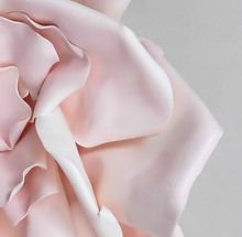 3D Pink Flower
