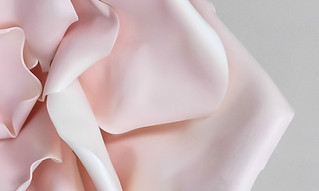3D Pink Flower