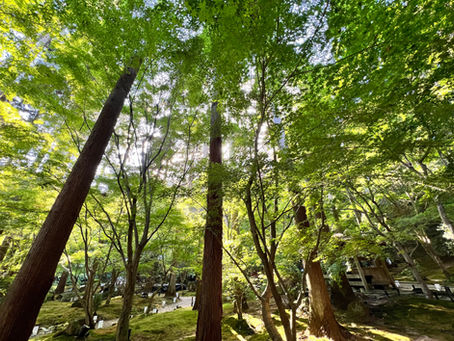 痛いところがないのに来た方は、今までいません