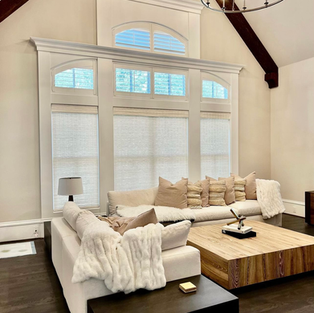 shades and shutters for arched windows in living room privacy and temperature control