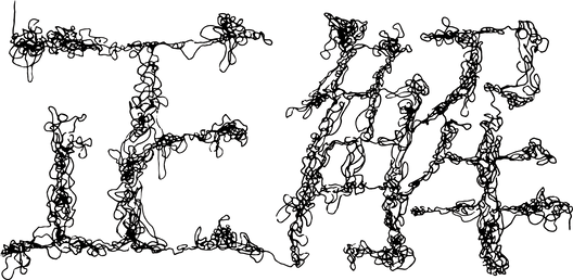 正解ロゴ.png