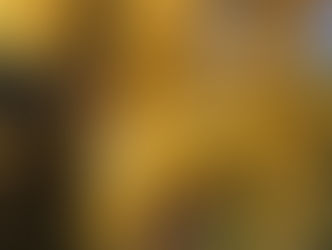 紅葉を観にいこうよう