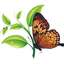 Writer: Go Green Lawn & Pest Solutions