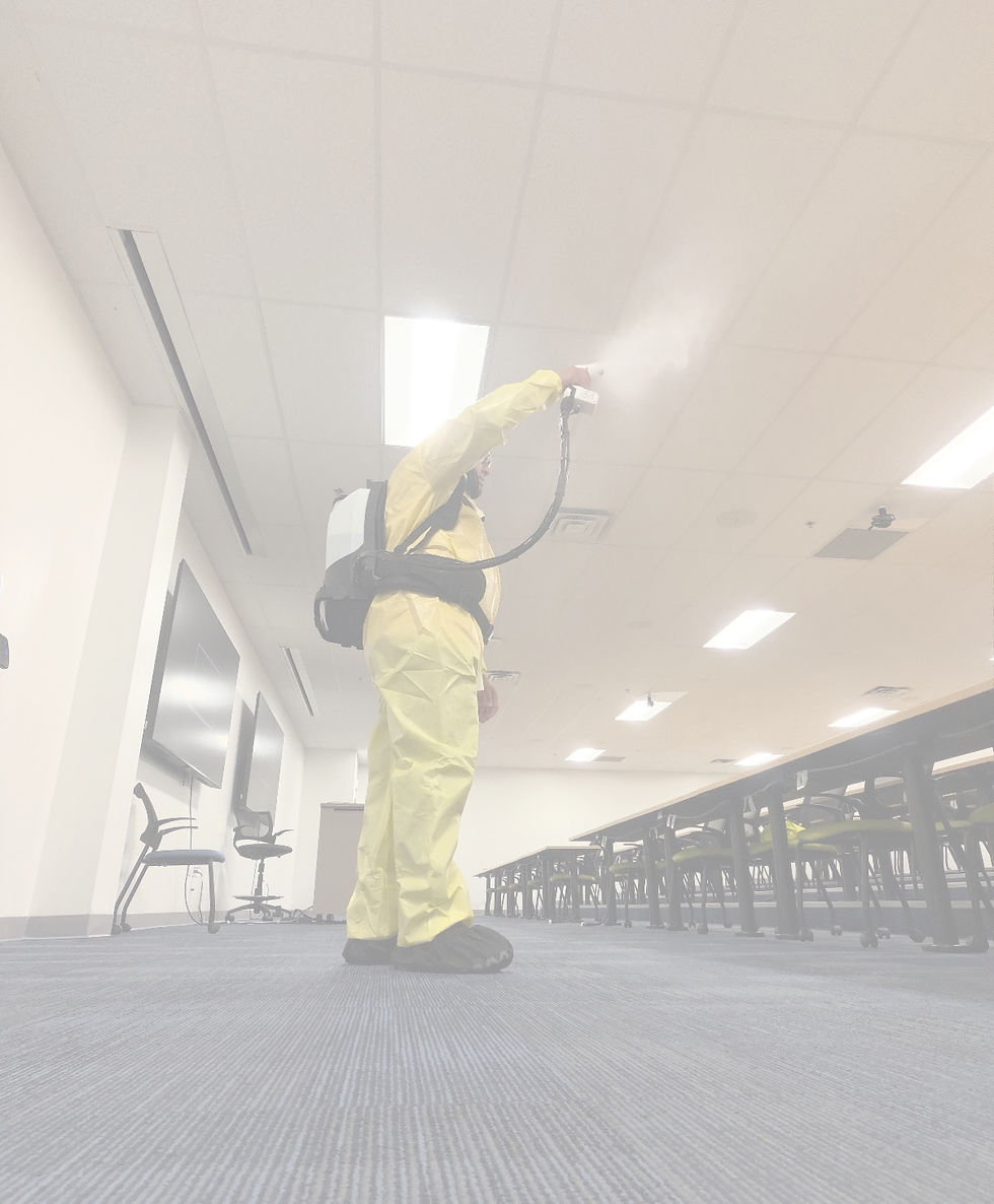 Electrostatic Cleaning
