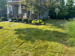 Kelly Landscaping Indianapolis