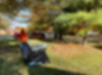 Leaf Removal