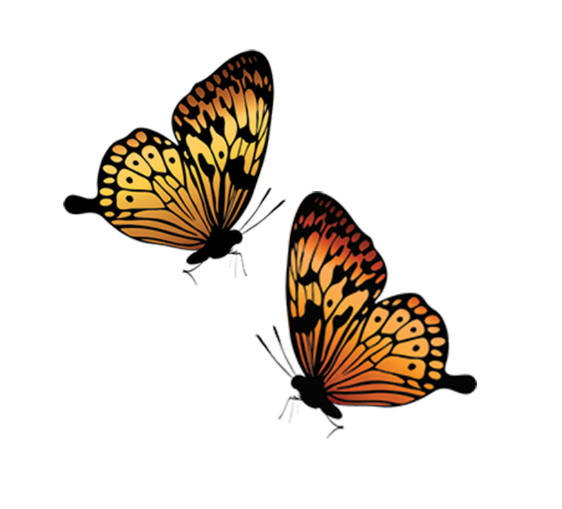 Writer: Go Green Pest Solutions