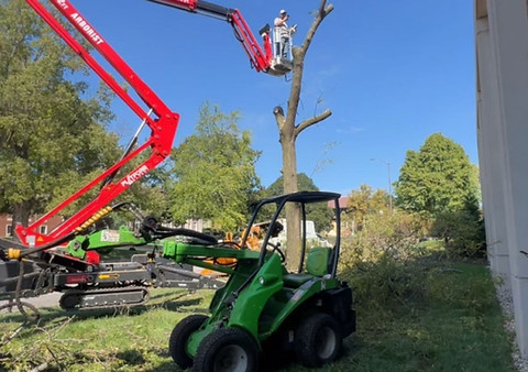 commercial tree work.jpeg