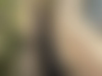 Residential French Drain Installation-Best Practices