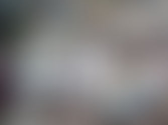 ベビーサンゴ移植 2016/11月分