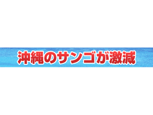 洞窟カフェ LIVE 決定 !!