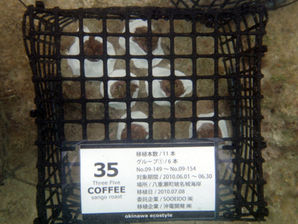 35COFFEE 2010/06 BS誕生