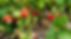 20250618_154704_edited_edited.jpg