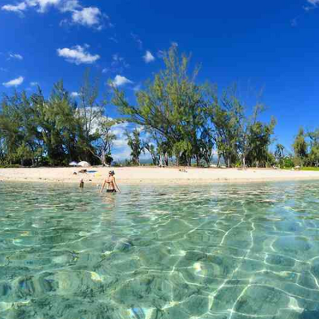 J'ai testé le Janzu.