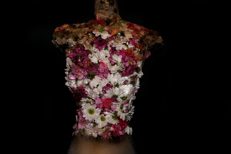 The Natural Dissolve