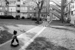 אוראל רוזנבאום