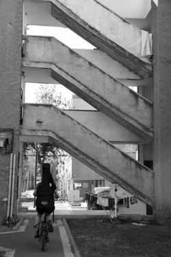 אוראל רוזנבאום