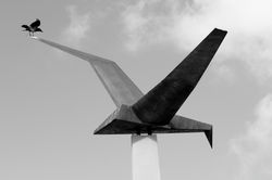 פורשות כנפיים