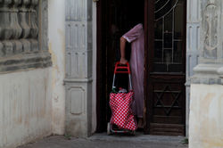 חוזרת מהשוק