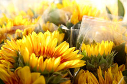 ערב ראש השנה תשע"ז