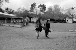 אוראל רוזנבאום