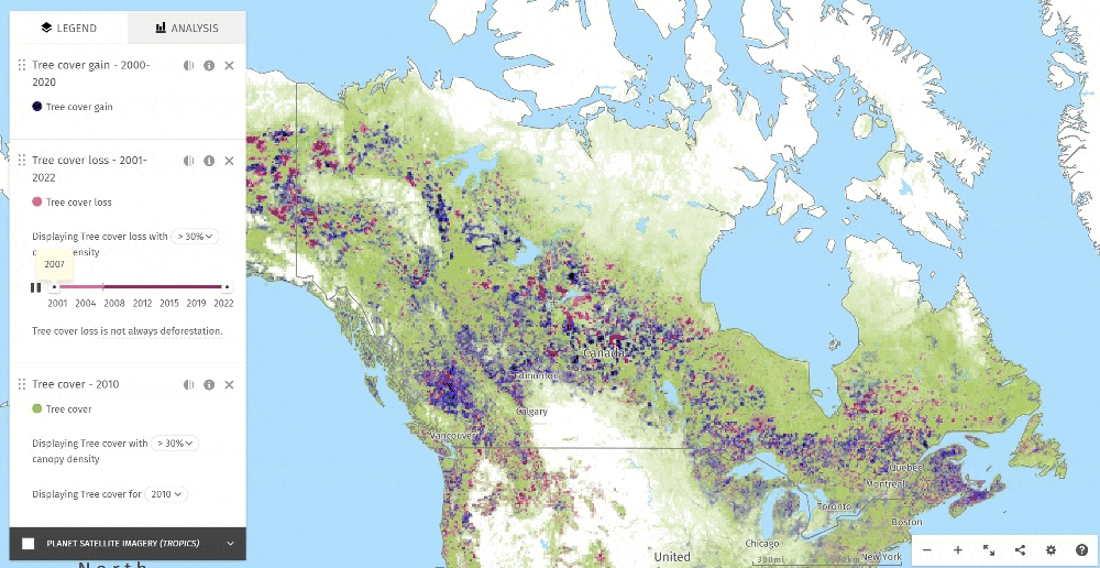 From ashes to action: how global mapping illuminates forest ...