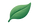 NYA Leaf_edited.png