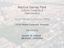 Marcus Garvey Park - Culture, Creativity & Care Initiative