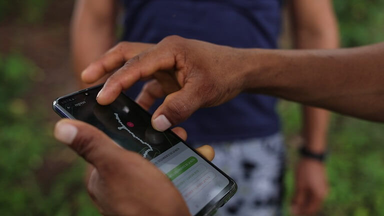 Credit Global Forest Watch - Amazónicos por la Amazonía volunteer using Forest Watcher