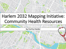 Harlem 2032 Mapping Initiative: Community Health Resources