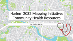Harlem 2032 Mapping Initiative: Community Health Resources