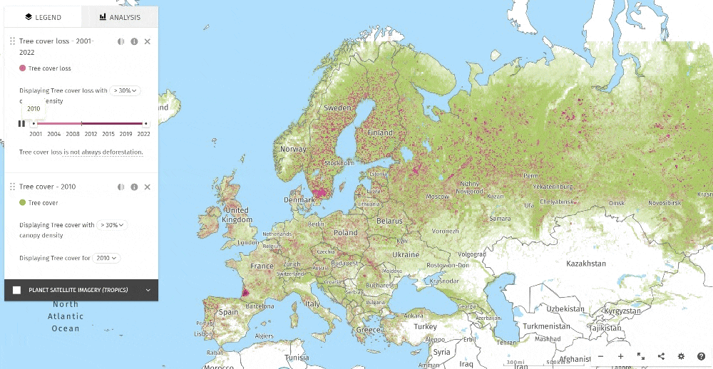 From ashes to action: how global mapping illuminates forest ...