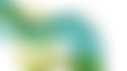 Report | Within Our Reach - Segregation in NYC District Elementary Schools and What We Can Do About It