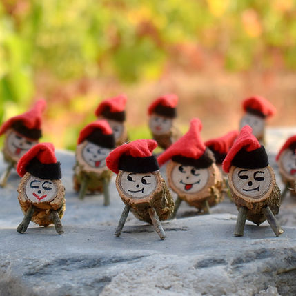 tions de nadal al bosq