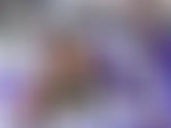 Botafogo venceu o Cruzeiro por 80 a 70.