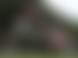 Segundo jornalista, Corinthians avalia comportamento extracampo de Neto para fechar contratação