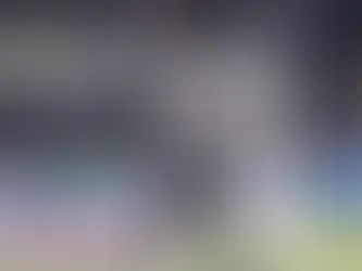 Bastos, zagueiro do Botafogo